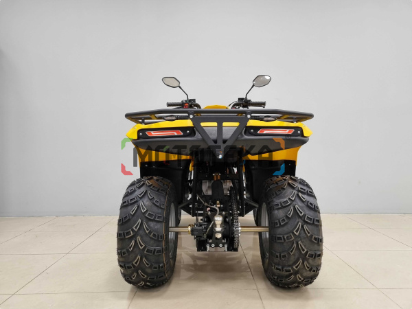 Квадроцикл IRBIS (Ирбис) ATV 200 LUX 2024 желтый с ПСМ | Мототека Квадроцикл IRBIS (Ирбис) ATV 200 LUX 2024 желтый с ПСМ | Мототека
